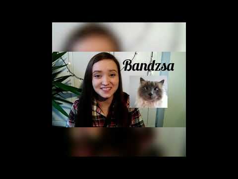 Hungarian Phonetic alphabet & pronunciation of difficult consonants