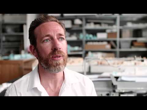 POLYFORM and OPEN BIM