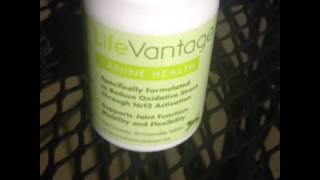 Canine Health (KBW Protandim Distributor on Facebook)