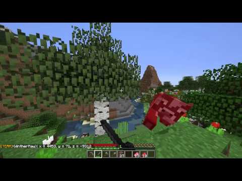 Aureus Pupillam: S8E01 - The Dream Team