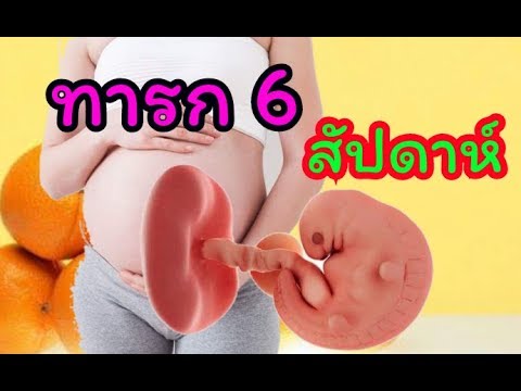 หน้าอกดูดเล็ก ๆ น้อย ๆ ขยายขนาดหน้าอกโดยไม่ต้องออกจากบ้าน