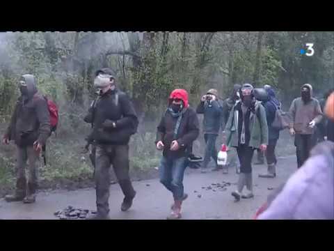 Notre-Dame-des-Landes : retour sur une semaine d'affrontement à la ZAD