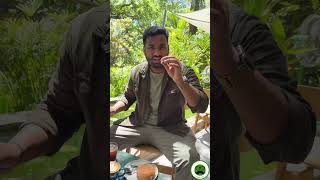 Download lagu Viral Genz Coffee Cafe in Mysore | Sapa Cafe | Veggie Paaji #foodshorts mp3