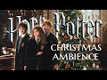 🎄🎁✧˖° CHRISTMAS at HOGWARTS ˖°✧🎄 Ambience & Music 🎅🏻Harry Potter inspired Holiday Special [8 HOUR