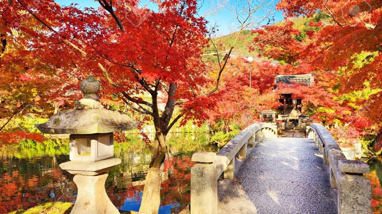 Embark on a captivating virtual journey through the Eikan-do Temple.