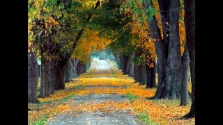 Celtic Excavation by Van Morrison