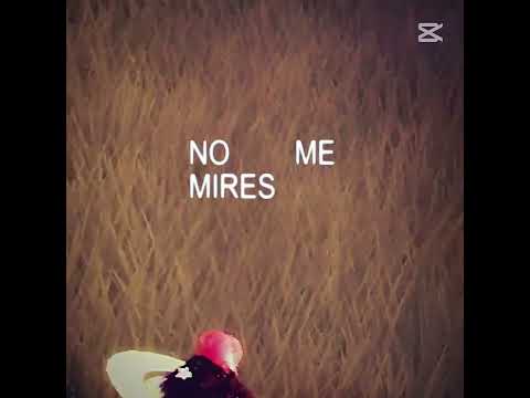 ADESSO BASTA STATE ESAGERANDO MI ODIANO TUTTI