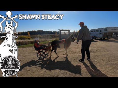 2022 Breeders Crown - Shawn Steacy