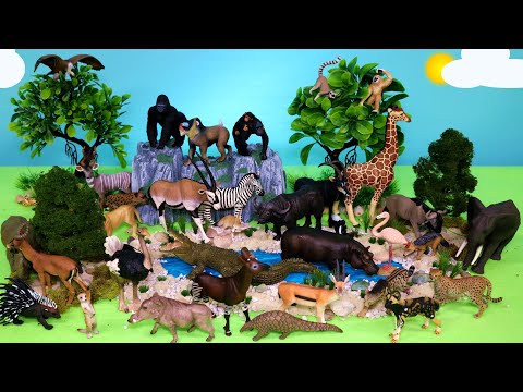 Fun African Safari Animal Figurines - Let's Make a Diorama!