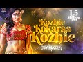DJ VINATER Kozhie Kokkaraa Kozhiee Tamil Folk Song 2021