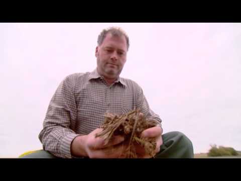 Kyleo - zieht bis in die Wurzelspitze (Hermann Dorfner aus Bayern)