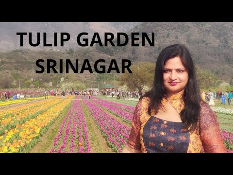 download lagu mp3 mp4 Tulip Garden Srinagar Opening Dates 2019, download lagu Tulip Garden Srinagar Opening Dates 2019 gratis, unduh video klip Tulip Garden Srinagar Opening Dates 2019