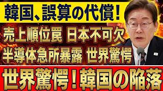 【海外衝撃】韓国が見落とした売上ランキングの落とし穴！日本抜きでは止まる半導体供給網の急所が暴かれ世界騒然！
