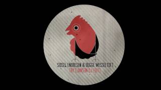 Sidsel Endresen &amp; Bugge Wesseltoft ‎– Try (Jans3n Edit)