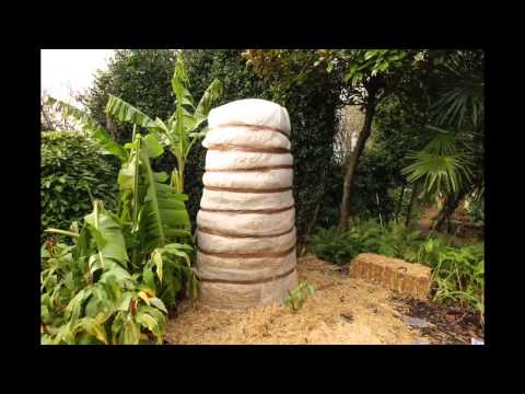 Somatic Waves - Have You Heard Jupiter - Exotic Garden Time-lapse