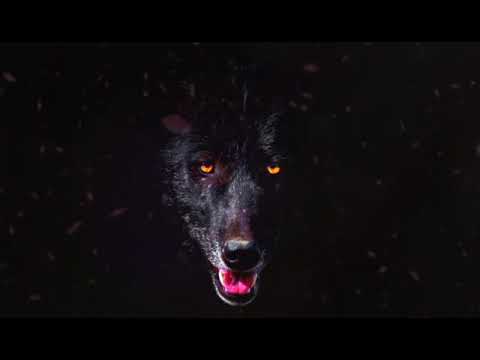 Smellington Piff & Illinformed - Wolves