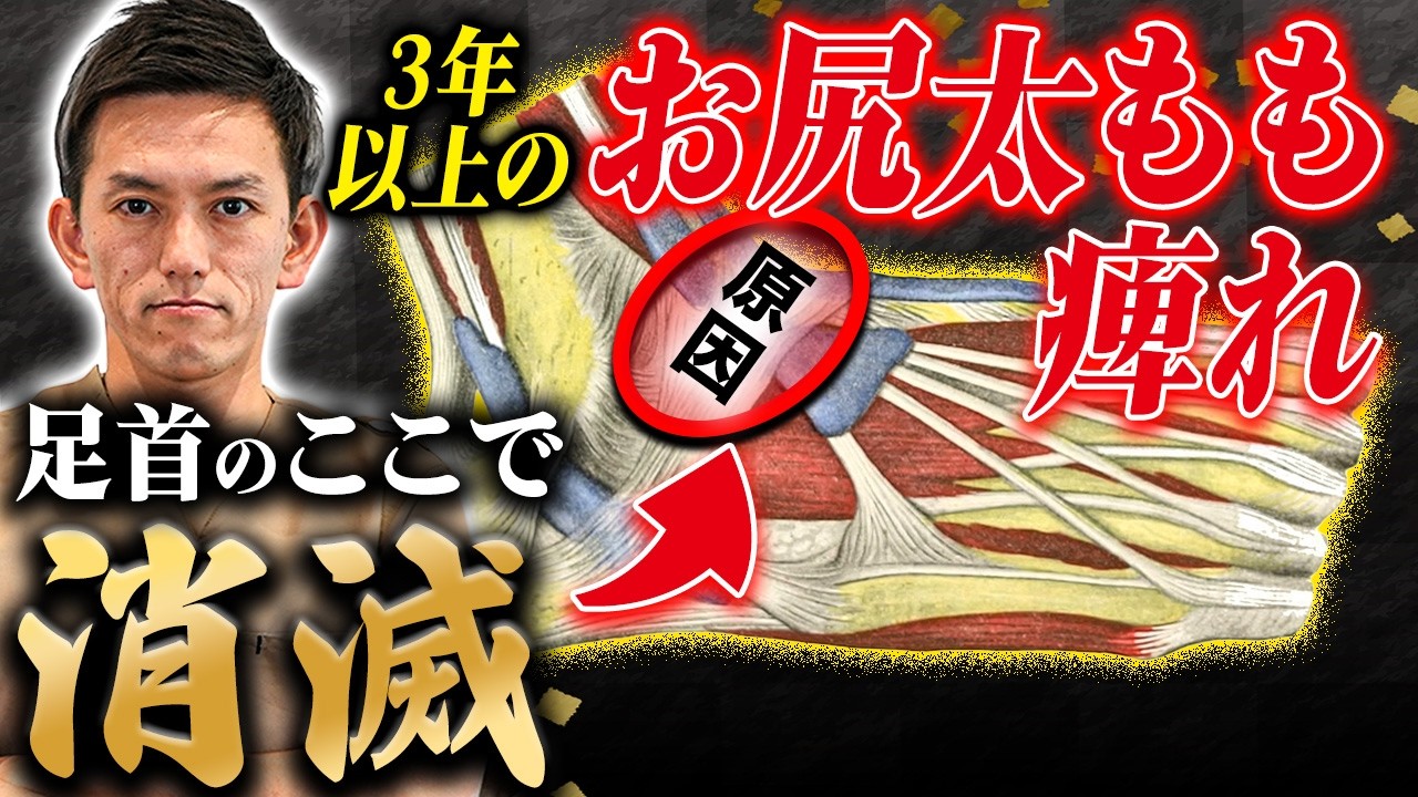 【必ず見て】坐骨神経痛の真の原因は足首！ここを柔らかくすると劇的に改善していきます！