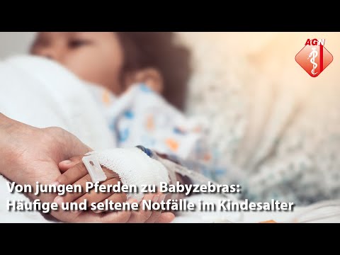 Jour Fixe 04/2025: „Von jungen Pferden zu Babyzebras: Häufige und seltene Notfälle im Kindesalter“
