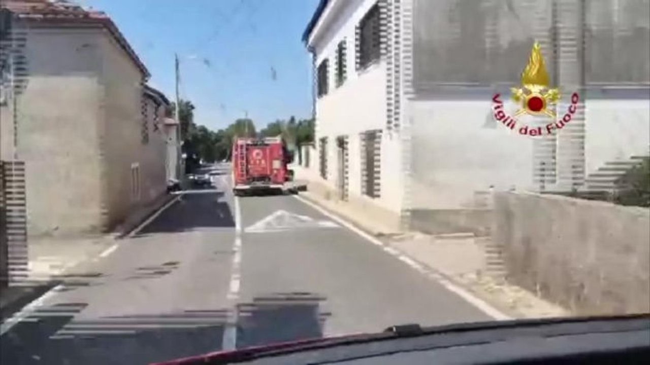 Al via bonifica dei Vigili del fuoco sull incendio boschivo sul Carso triestino