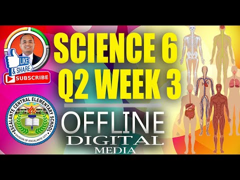 Science 6 Quarter 2 Week 3: Explain How Different Organ Systems Work Together
