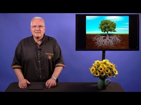 ATEMPAUSE Täglich Zeit mit Gott und seinem Wort verbringen – warum und wozu?