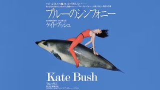 Kate Bush - Symphony In Blue (Audio)