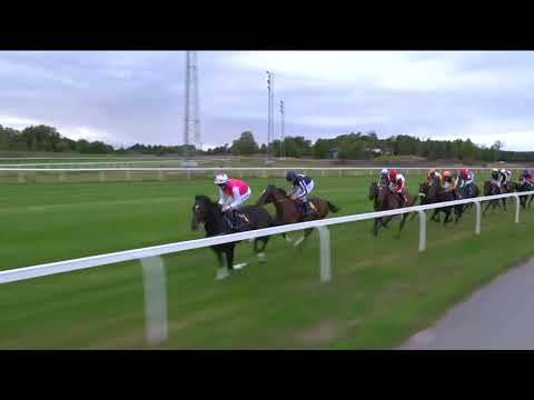 2019.09.22 Stockholm Cup International (SWE) - Square De Luynes