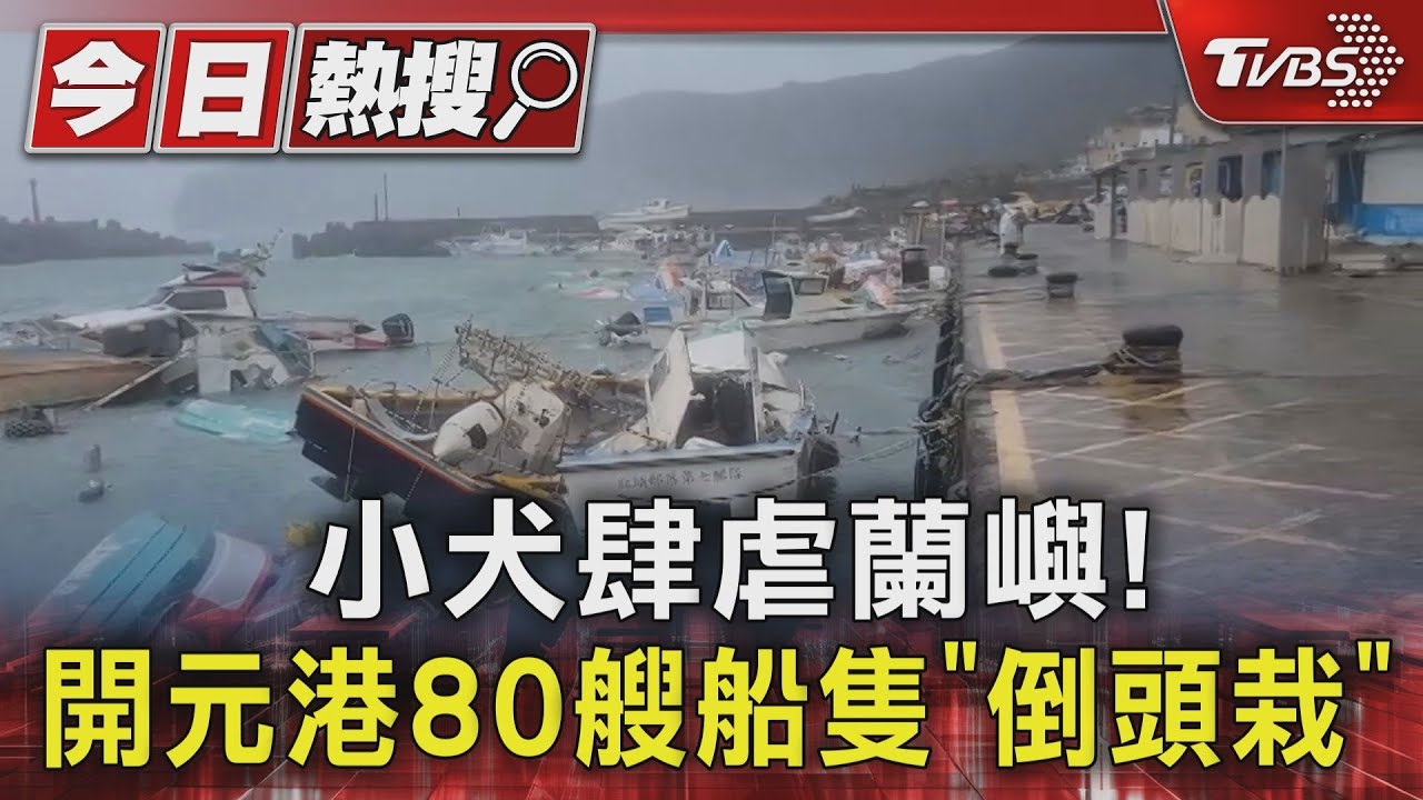 小犬肆虐蘭嶼! 開元港80艘船隻「倒頭栽」