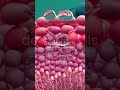 Male Sperm S Journey Animated Explanation