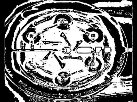 [Obs.Cur008] Stefan ZMK & Raymoon - Predator