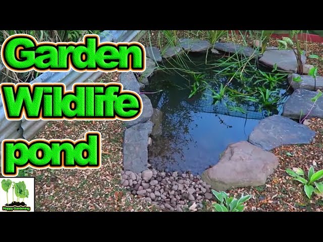 Step By Step How To Build A Wildlife Pond For Your Garden Or Allotment