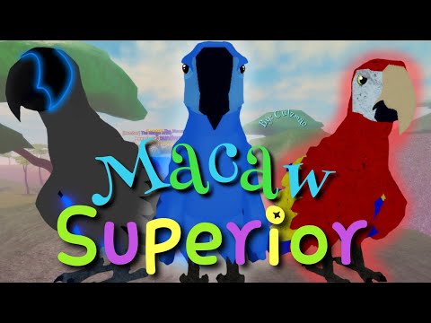 Macaw Army |Feather Family|