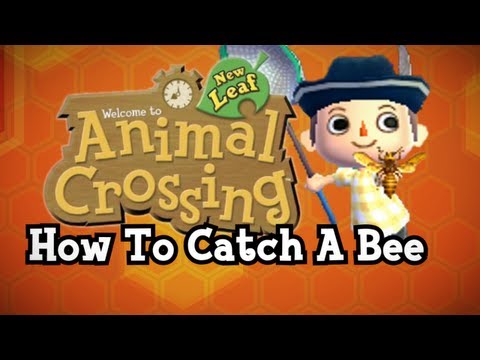 Animal Crossing New Leaf:  How To Catch The Bee [TUTORIAL]