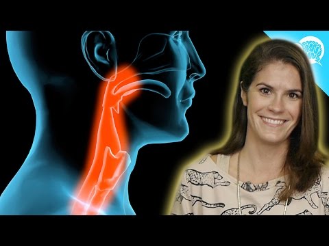 Why Do Men Have Deeper Voices? - YouTube