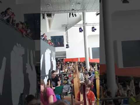 Dutch harp festival 2024