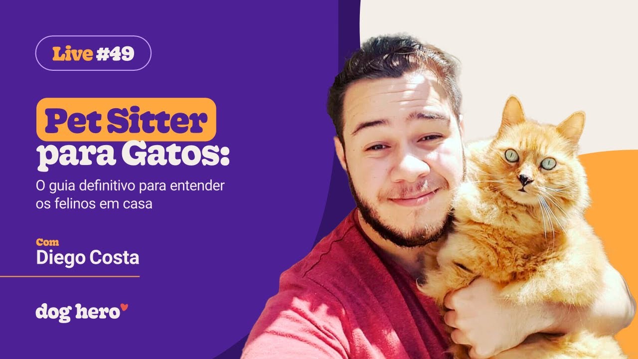 Pet Sitter para Gatos: O Guia Definitivo para Entender os Felinos em Casa