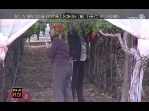 Siamo noi reportage - "Dalla tratta al lavoro, schiavi del terzo millennio" - 18 settembre 2015