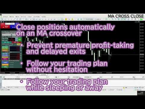 Video One Click AUTO Close Suite