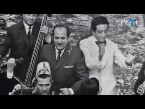 Dona Dumitru Siminică - Foaie verde măr domnesc