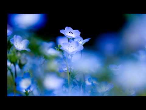 download lagu mp3 mp4 Gracias Por Ensearme Con El Corazon, download lagu Gracias Por Ensearme Con El Corazon gratis, unduh video klip Gracias Por Ensearme Con El Corazon