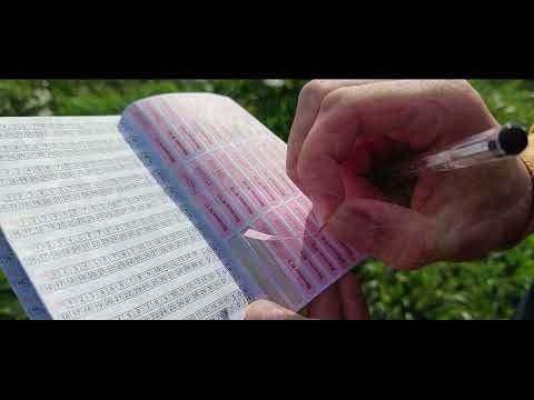 Bien remplir son carnet Bécasse des Bois