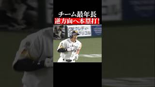 【最年長、元気いっぱい!!】ギータが飛ばしまくる!! #shorts
