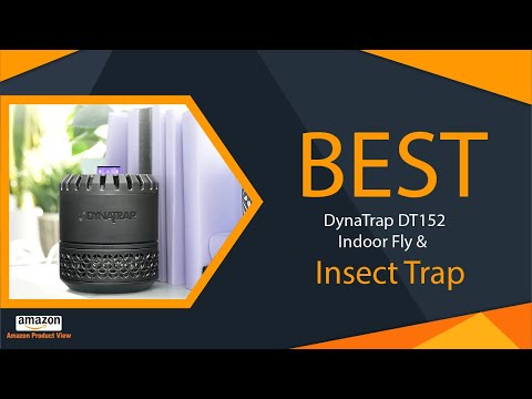 #dynamo  #trap  DT152 Indoor Fly & Insect Trap – Catches and #Kills House Flies, #Mosquitoes