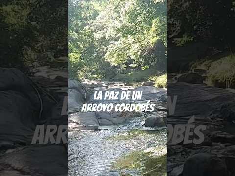 Sonidos de la naturaleza: la inigualable paz de un arroyo serrano