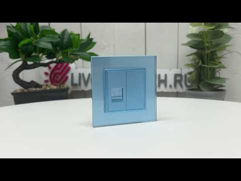 Розетка интернет RJ-45 кат. 6 Livolo, цвет синий (механизм) BB-C7-1C-19