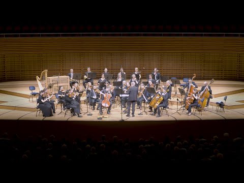 Lionel Martin plays Tchaikovsky - Variations on a Rokoko Theme op. 33