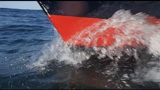 Beneath the Black Flag (Miracle of Sound)