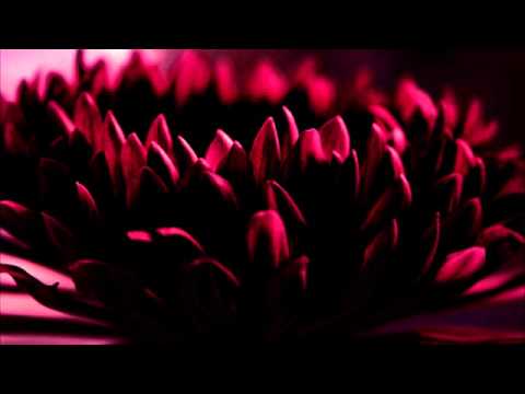 Andrew Ashong - Toxic Flowers (Trus'me ReRubWorkOut)