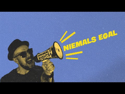 Lucas Rieger mit C - Niemals egal (Offizielles Video)