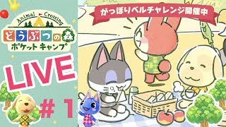 [ポケ森]ライブ#1  雑談しながらほのぼのスローライフ♪どうぶつの森ポケットキャンプ